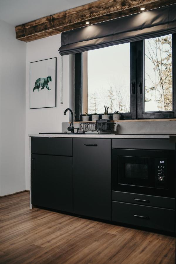 Tatra Loft Apartment Zakopane Bagian luar foto